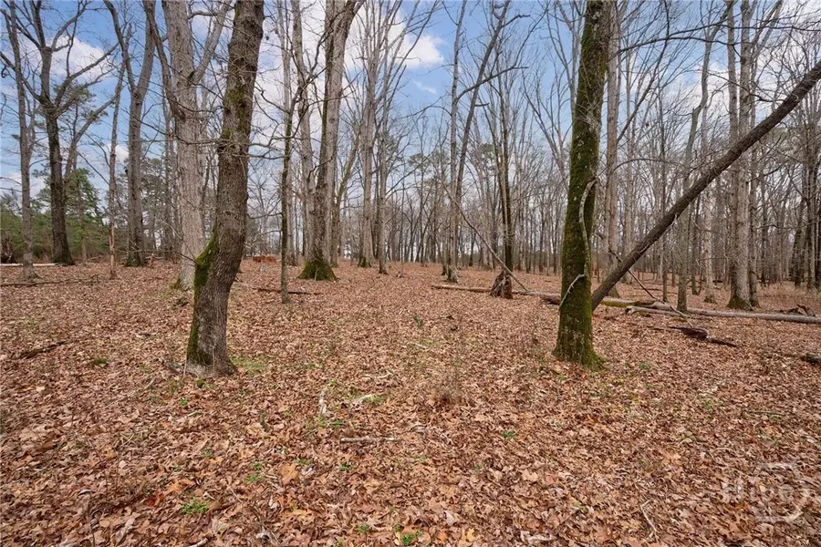 Tract 3 High Shoals Road, Bishop, GA 30621 - #2