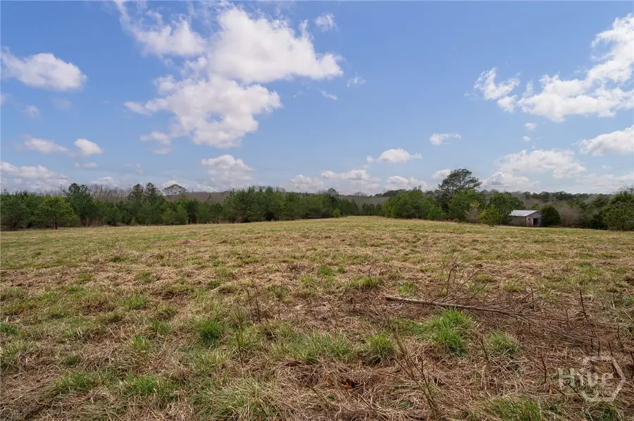 Tract 3 High Shoals Road, Bishop, GA 30621 - #3