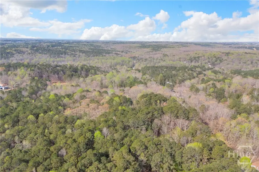 0 Brown Bridge Road, Auburn, GA 30011 - #3
