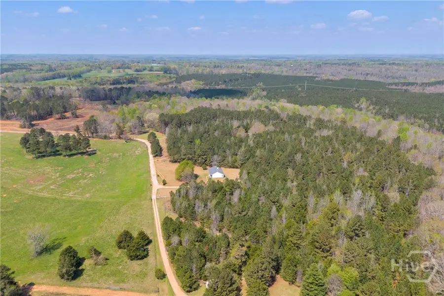 253 Old Sanders Farm Road, Crawford, GA 30630 - #3