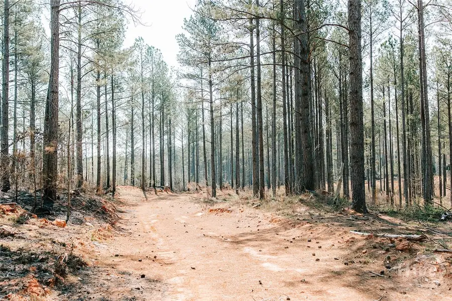 0 Washington Road, Lexington, GA 30648 - #2