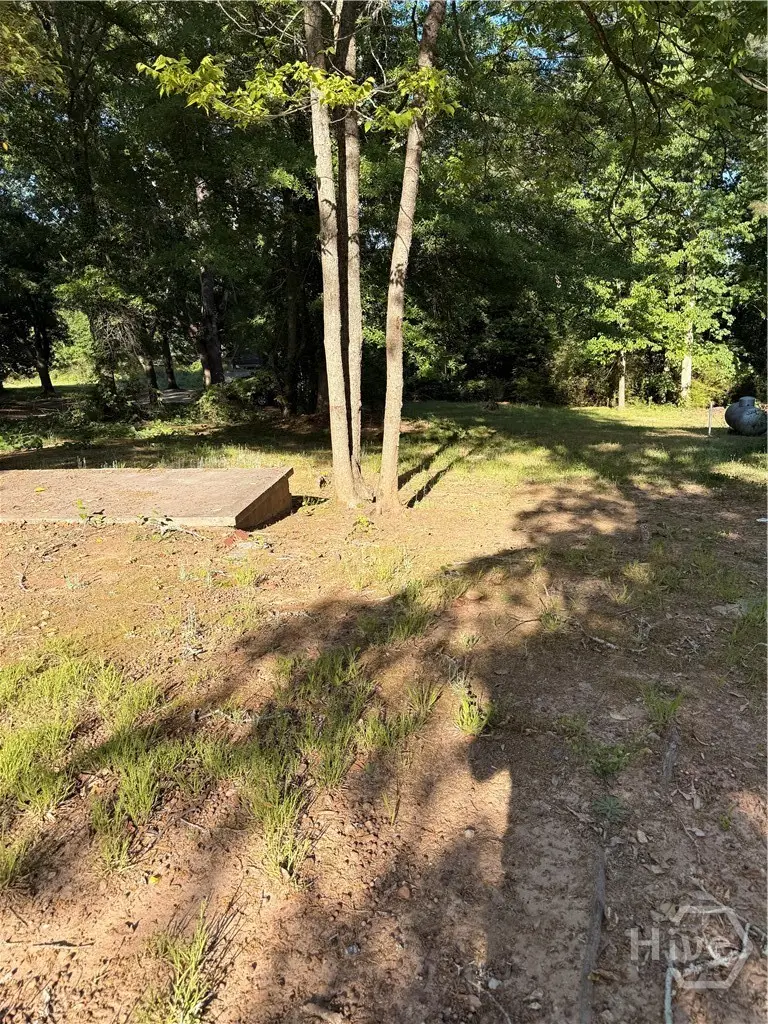 217 S Broad Street, Winder, GA  - #2