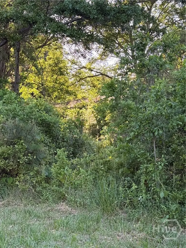 217 S Broad Street, Winder, GA  - #3