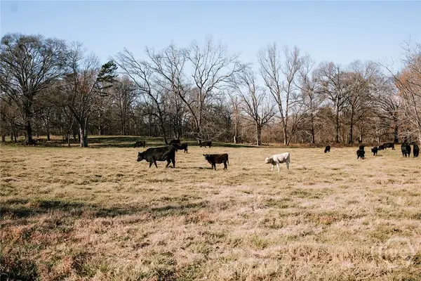 0 Ralph Bridges Road, Lexington, GA 30648