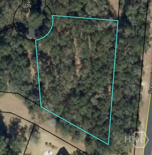 0 Blackberry Lane Ne, Townsend, GA 31331
