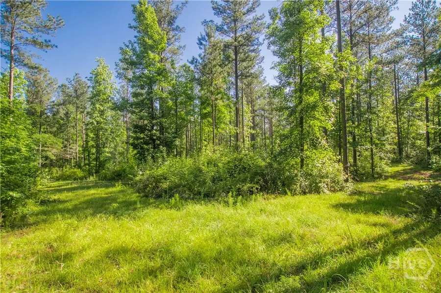 0 Weaver Jones Road, Rutledge, GA 30663 - #3