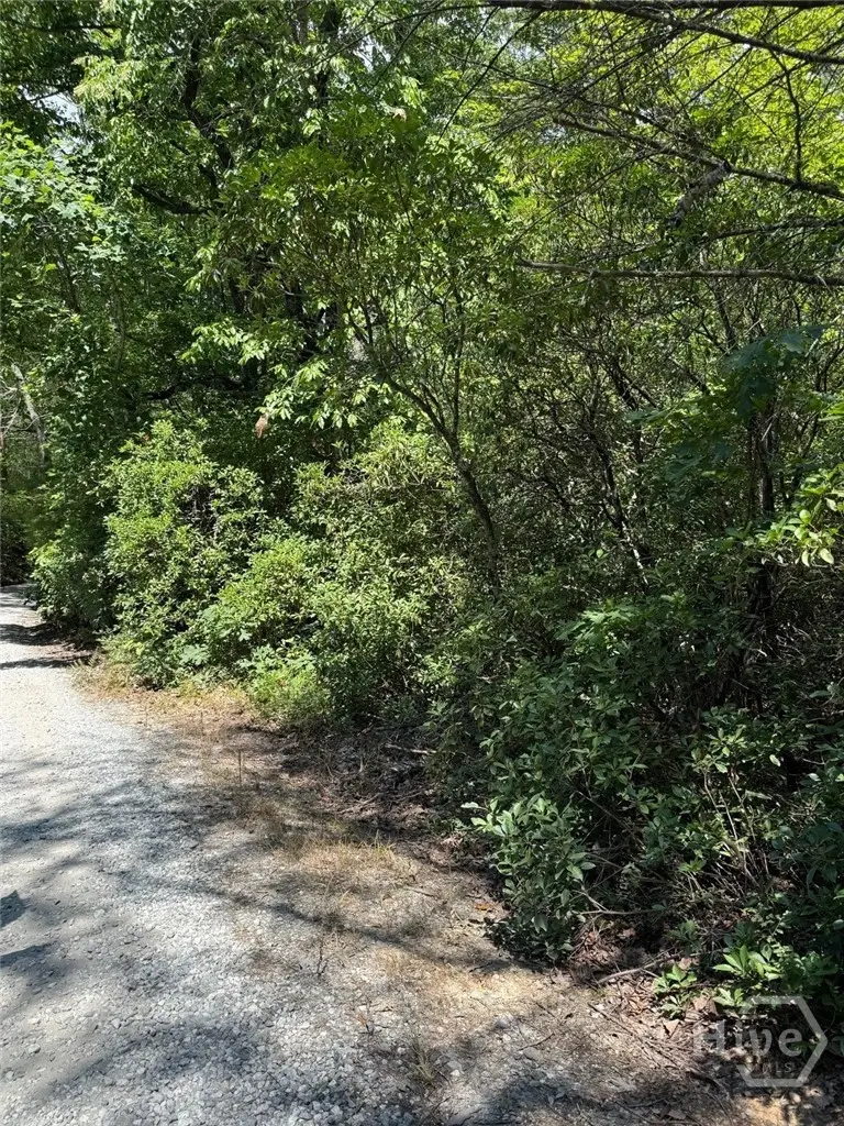 0 Crumley Creek Road #Tract 2, Sautee Nacoochee, GA 30571 - #2