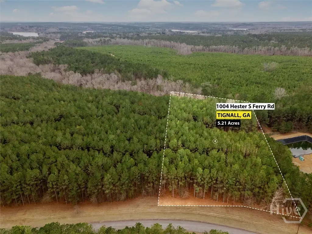 1004 Hesters Ferry Road, Tignall, GA 30668 - #1
