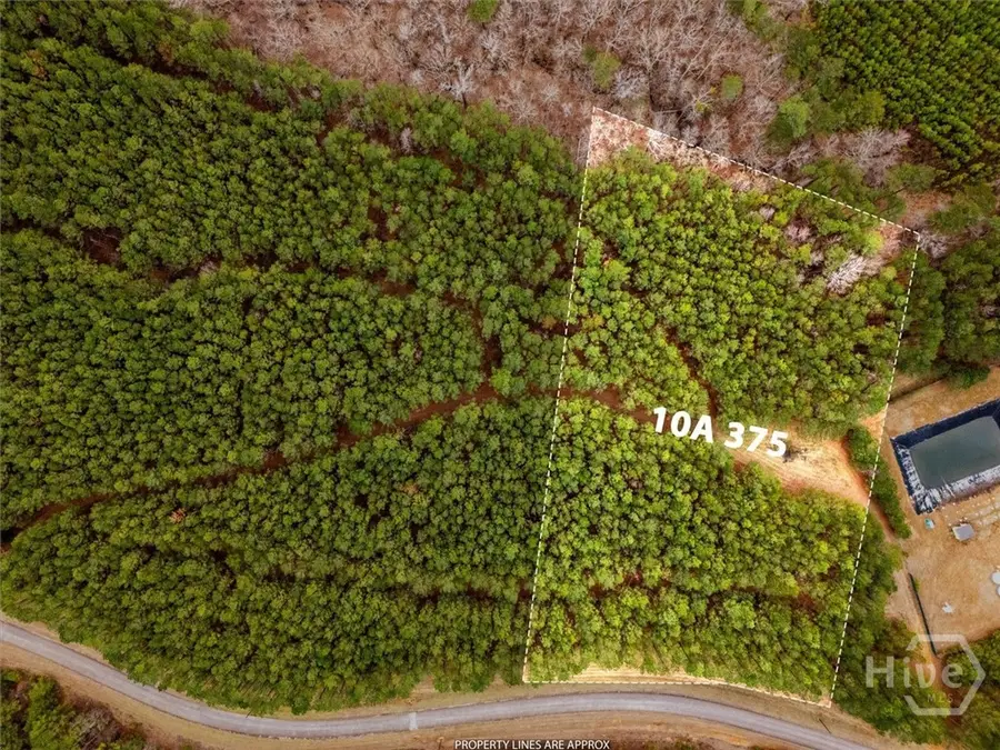 1004 Hesters Ferry Road, Tignall, GA 30668 - #3