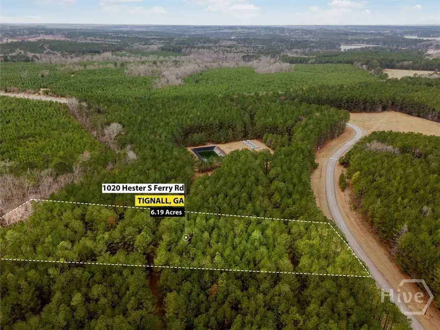 1020 Hesters Ferry Road, Tignall, GA 30668 - #2