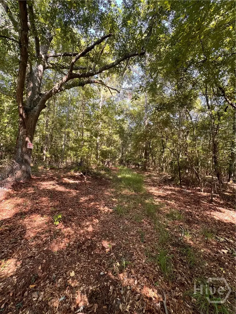0 Rocky Drive, Colbert, GA 30628 - #1