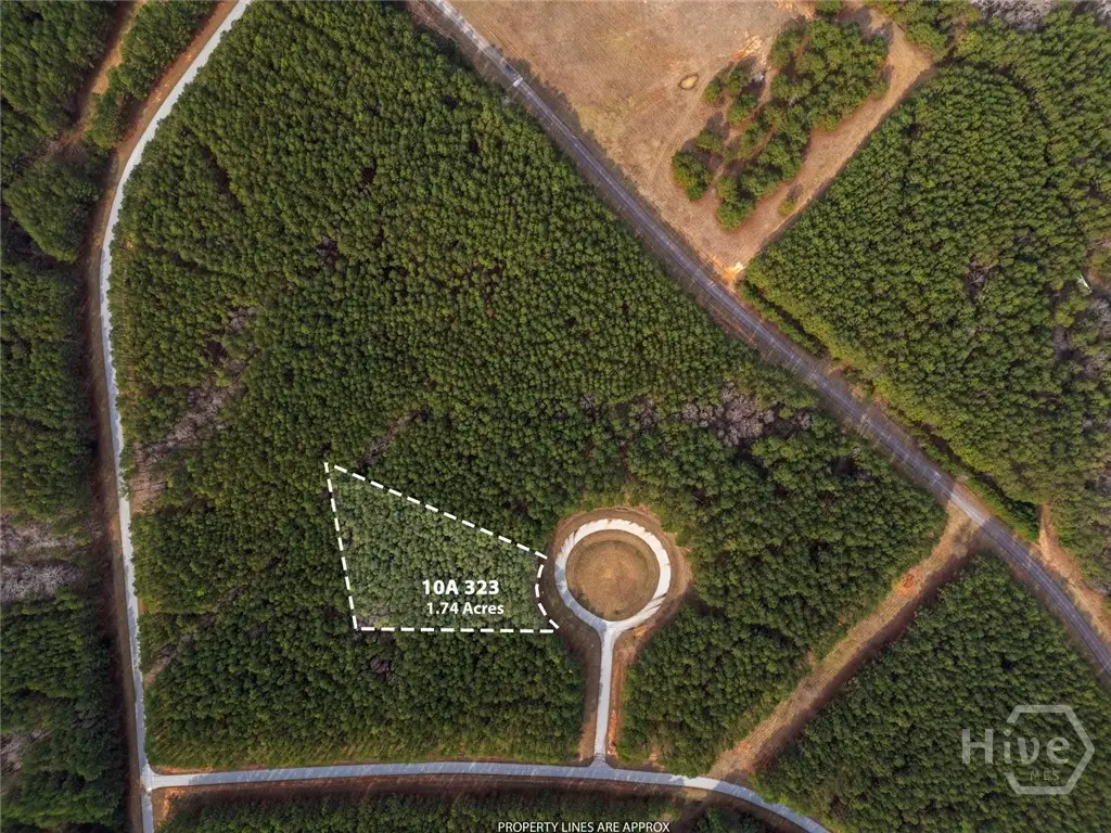 0 Magnolia Court, Tignall, GA 30668 - #1