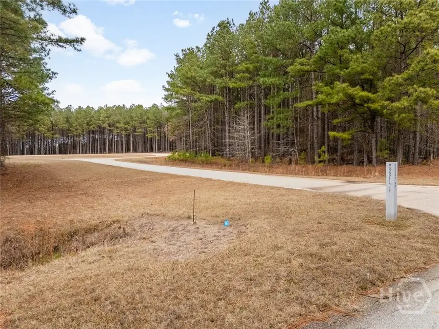 0 Magnolia Court, Tignall, GA 30668 - #3
