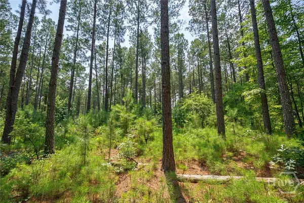0 Jabez Poyner Road, Carlton, GA 30627