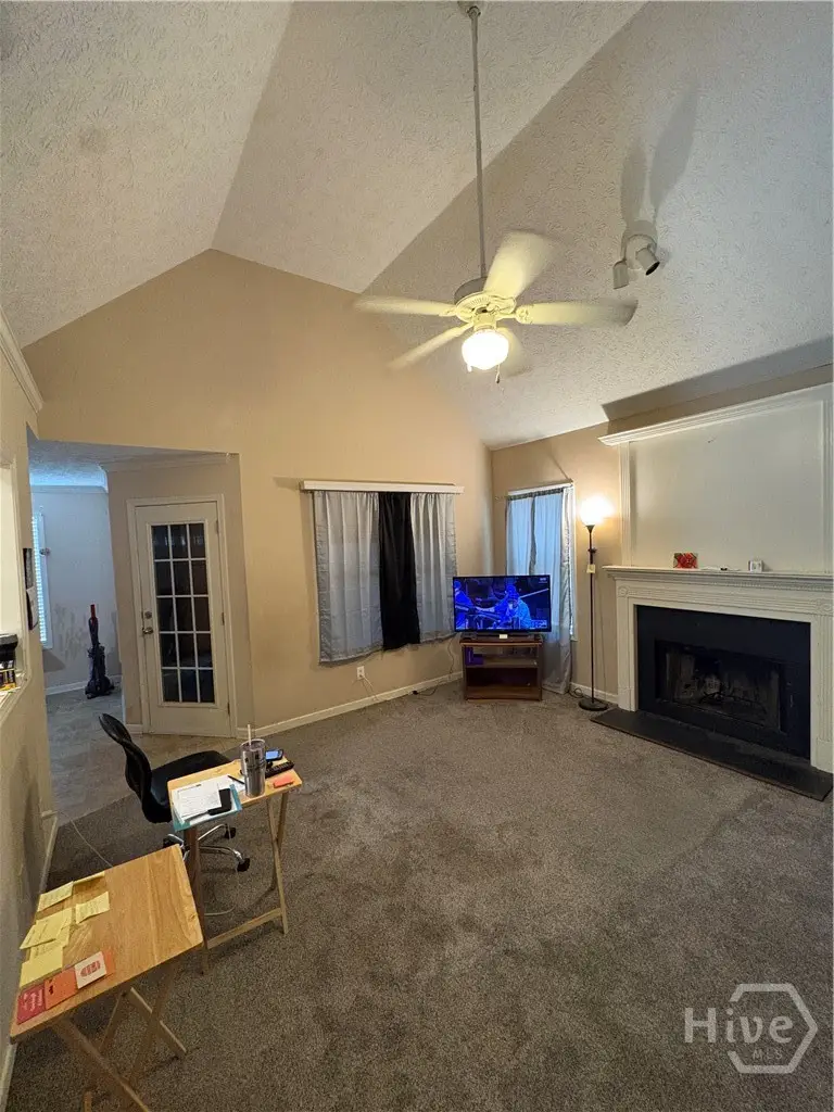 205 Boulevard Street, Cleveland, GA 30528 - #3