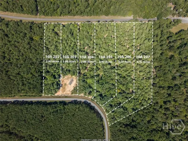 0 Winding Ridge Drive, Tignall, GA 30668