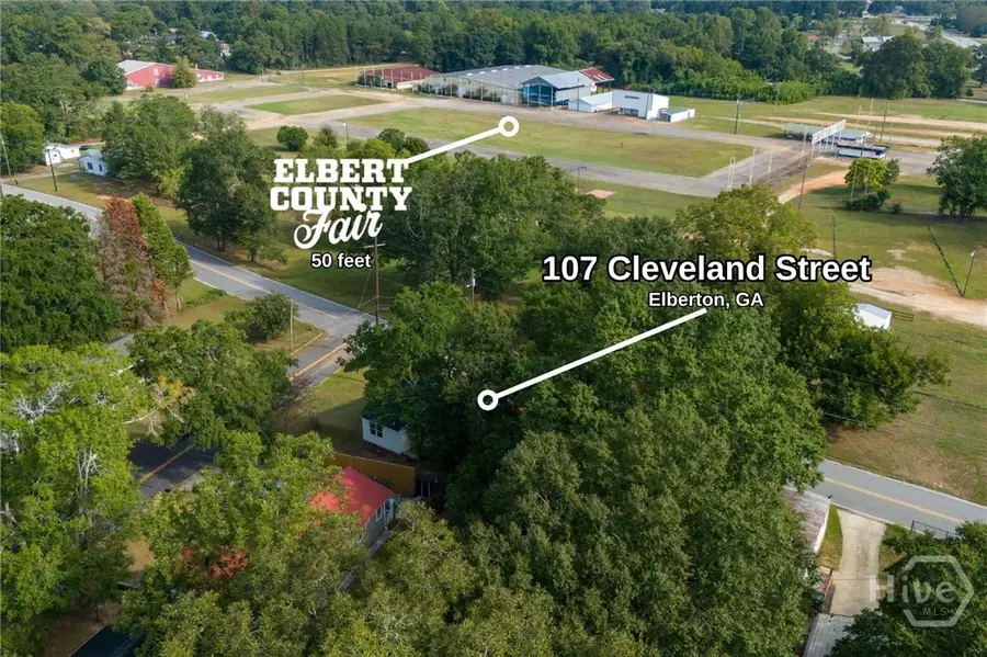107 Cleveland Street, Elberton, GA 30635 - #3