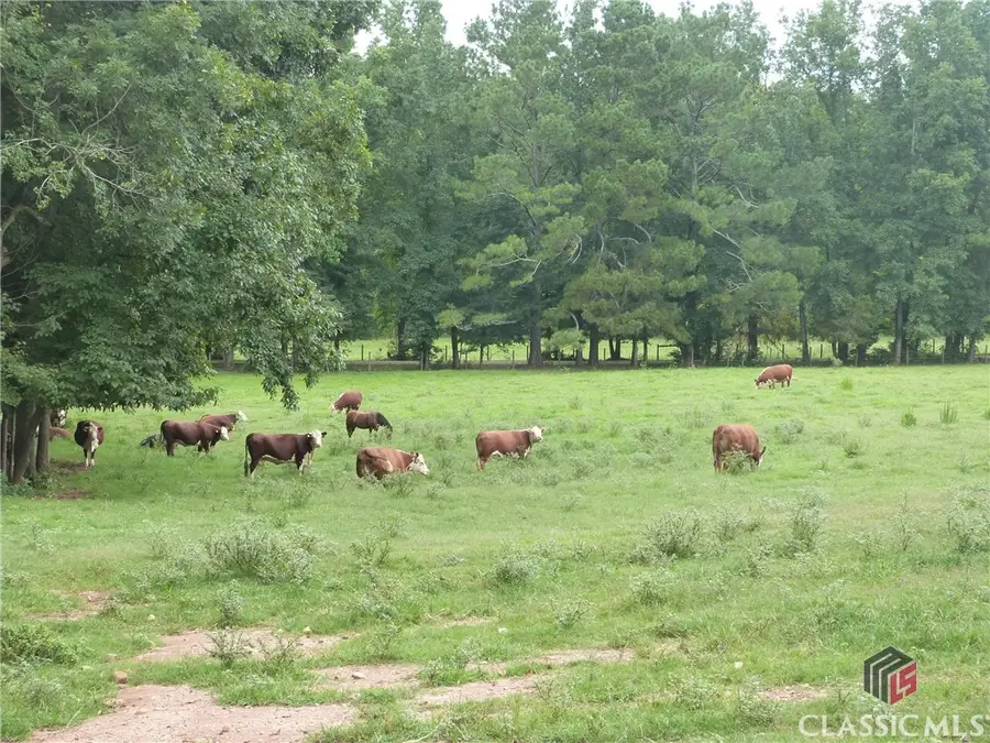 1650 Locklin Cemetery Road, Monroe, GA 30656 - #3