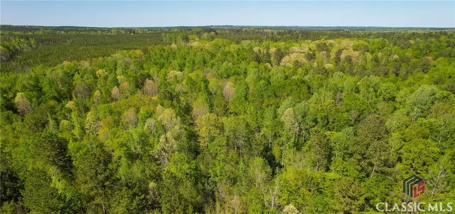 Lot 2 Old Copelan Road, Eatonton, GA 31024 - Image #2