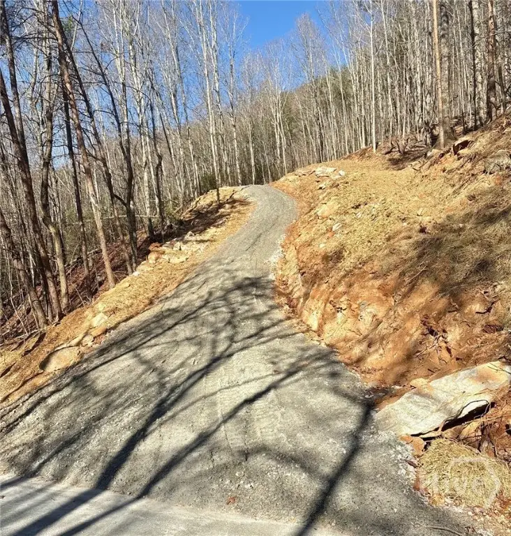 28 B Sal Mountain Way, Sautee Nacoochee, GA 30571 - #3