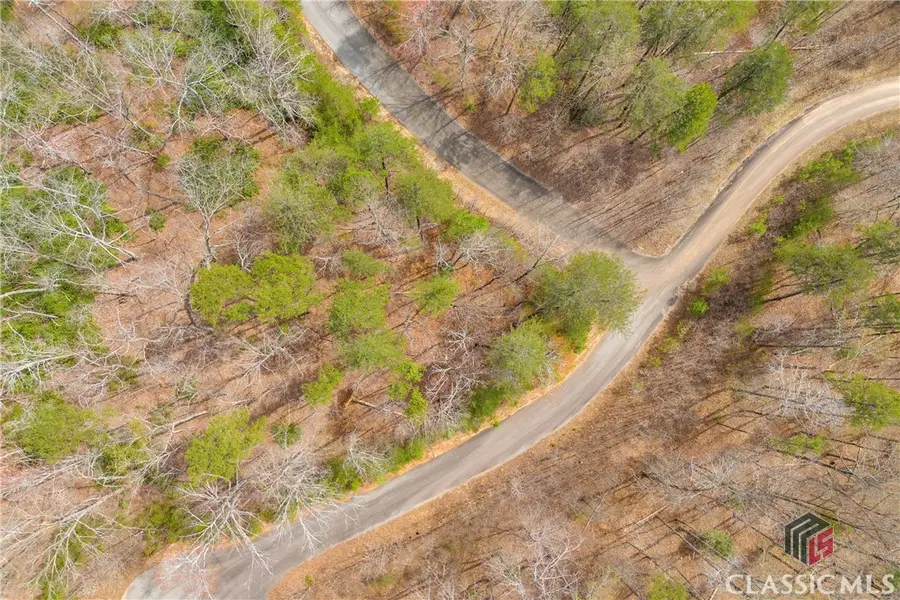 0 Planters Creek Drive #Lot 34, Banks, GA 30511 - Image #3