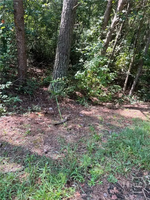 196 Tony Drive, Hartwell, GA 30643 - Image #2