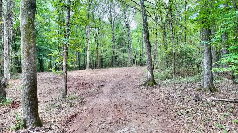 0 Monroe Highway, Statham, GA 30666 - Image #3