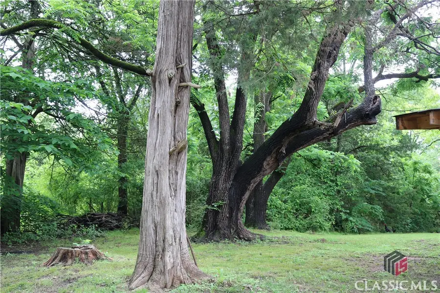 88 S Railroad Avenue, Carlton, GA 30627 - #2