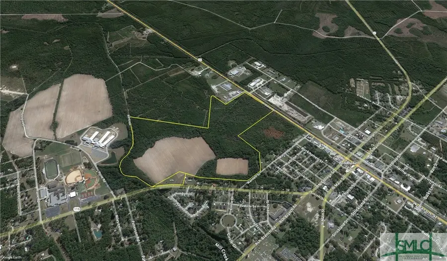 0 N Hwy 119 Highway, Pembroke, GA 31321 - Image #2