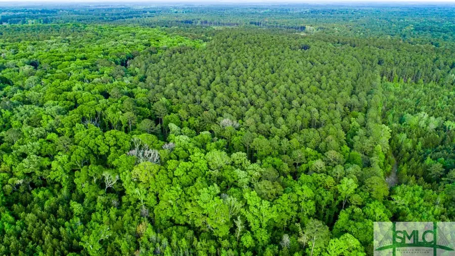 TBD Dunham Williams Road, Hardeeville, SC 29927 - #3