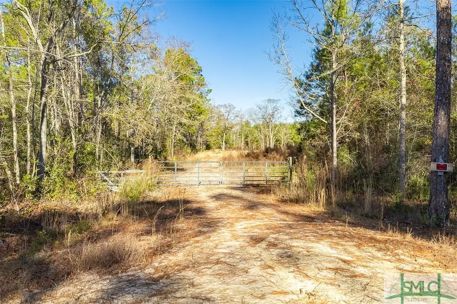 297 Horsepen Road, Guyton, GA 31312 - #2