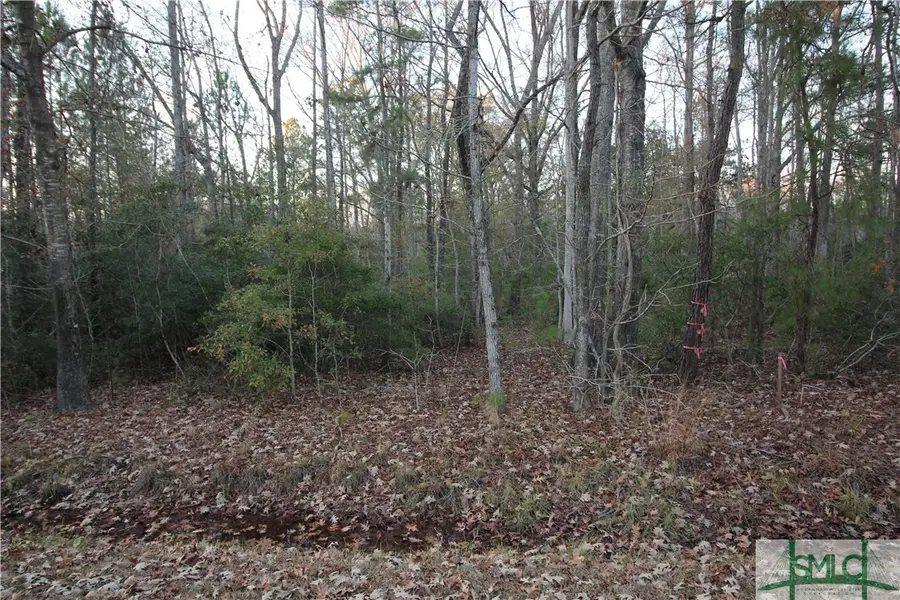 366 Big Estates Circle, Yemassee, SC 29945 - Image #2