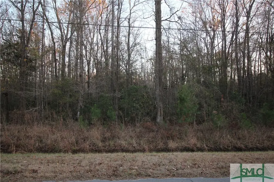 366 Big Estates Circle, Yemassee, SC 29945 - Image #3