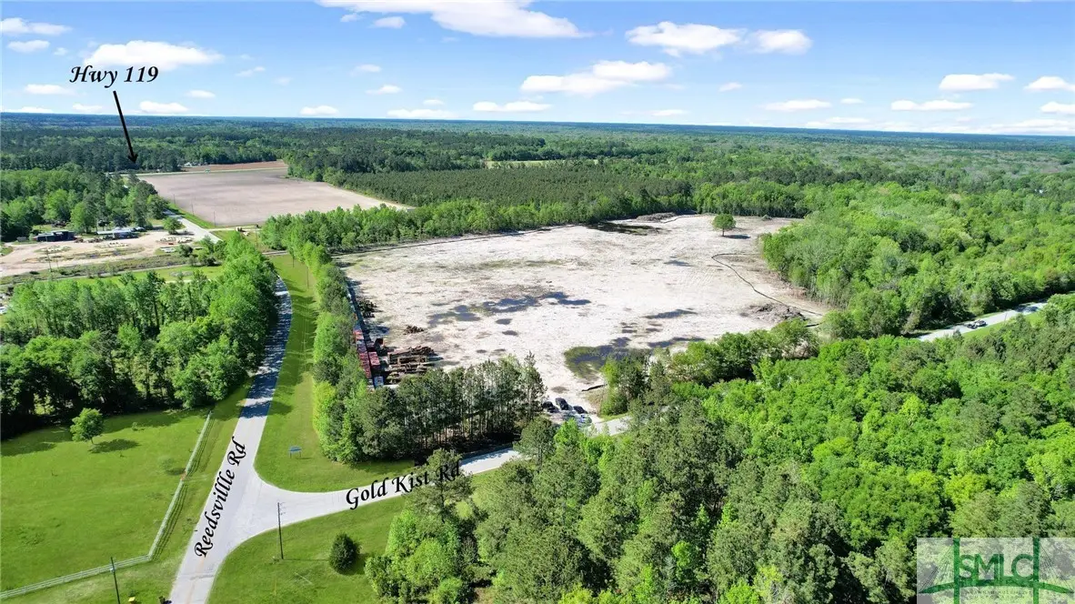 1382 Reedsville Road, Clyo, GA 31303 - Image #1