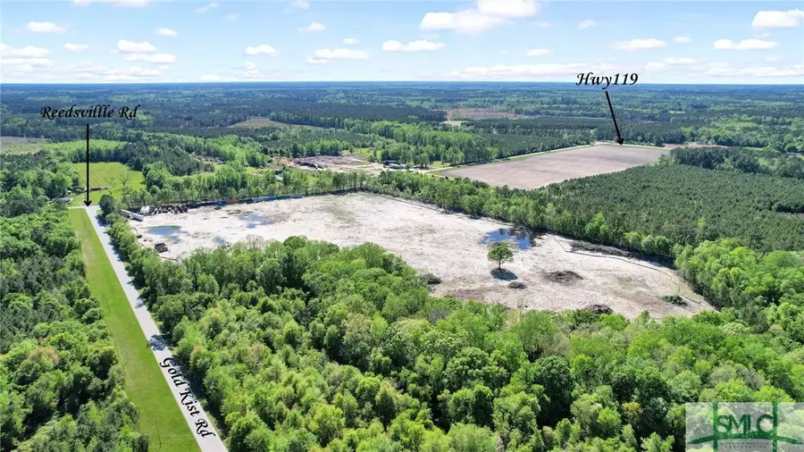 1382 Reedsville Road, Clyo, GA 31303 - Image #3