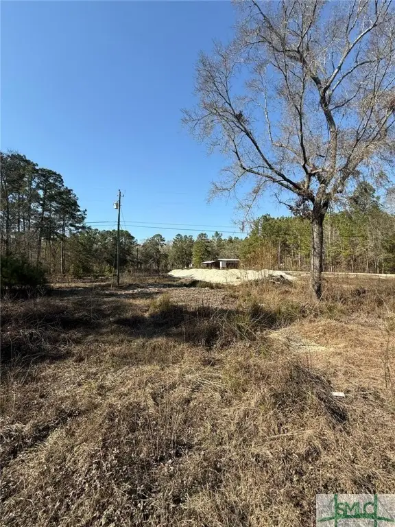 145 Middle Landing Road, Bloomingdale, GA 31302 - Image #2