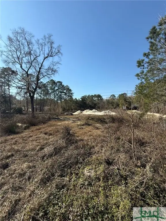 145 Middle Landing Road, Bloomingdale, GA 31302 - Image #3