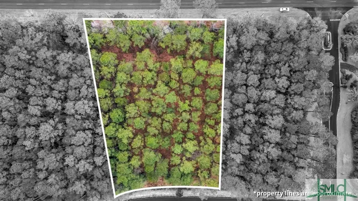 LOT 83 Fiddlers Cove, Townsend, GA 31331 - Image #1