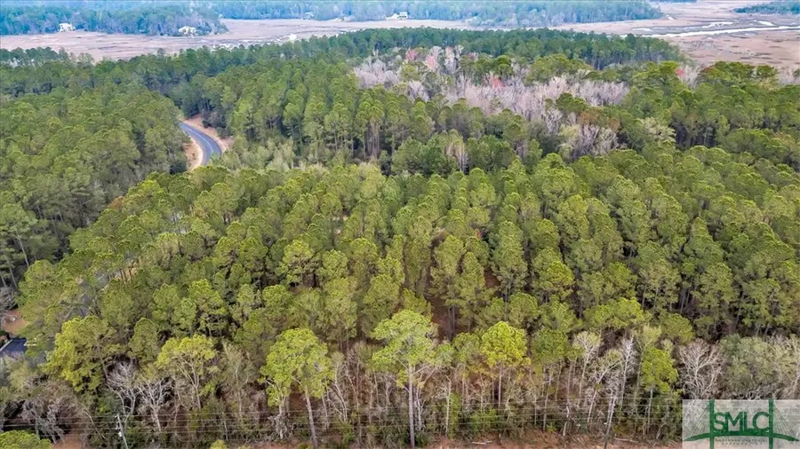LOT 83 Fiddlers Cove, Townsend, GA 31331 - Image #3
