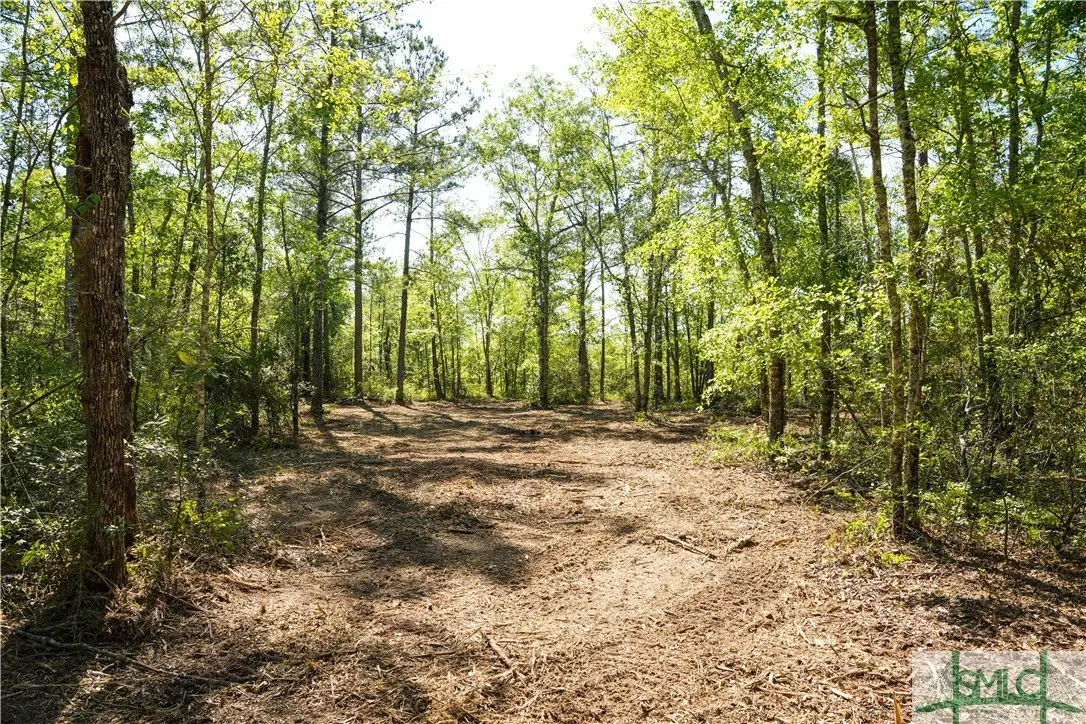 0 Floyd Road Road #Lot 8, Pembroke, GA 31321 - Image #1
