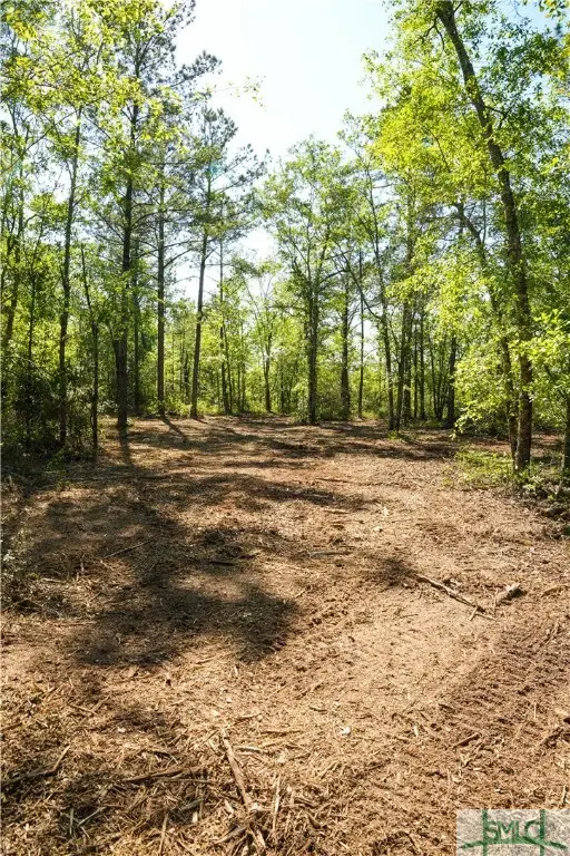 0 Floyd Road Road #Lot 8, Pembroke, GA 31321 - Image #2