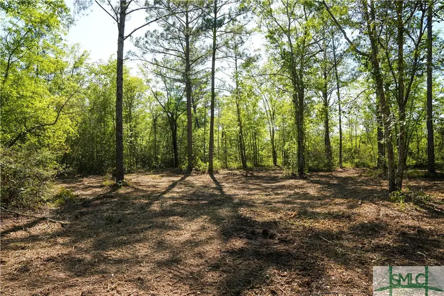 0 Floyd Road Road #Lot 8, Pembroke, GA 31321 - Image #3