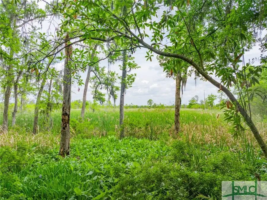 800 Silk Hope Drive, Richmond Hill, GA 31324 - Image #3