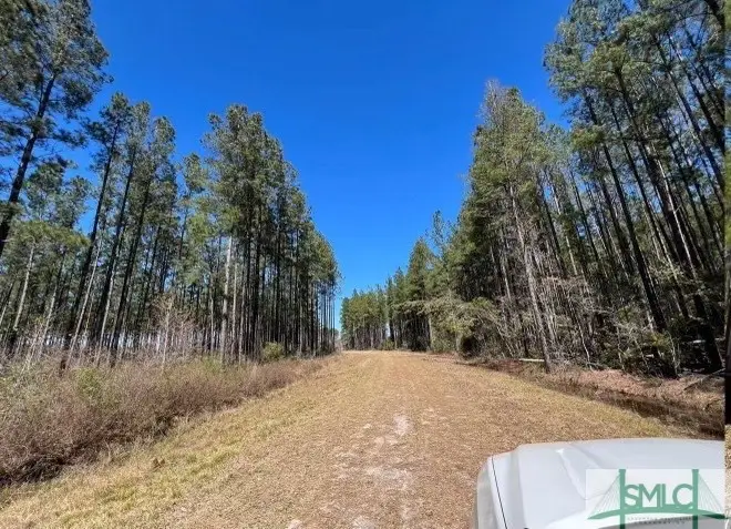 1 Rye Patch Ne Road, Ludowici, GA 31316 - #3