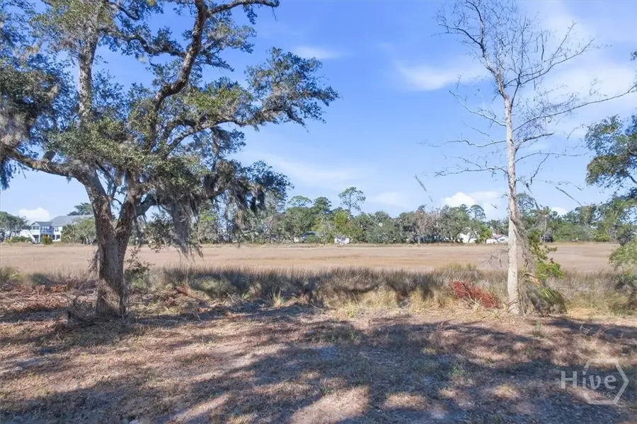 LOT 6 Bermuda Bluff Lane, Midway, GA 31320 - #2