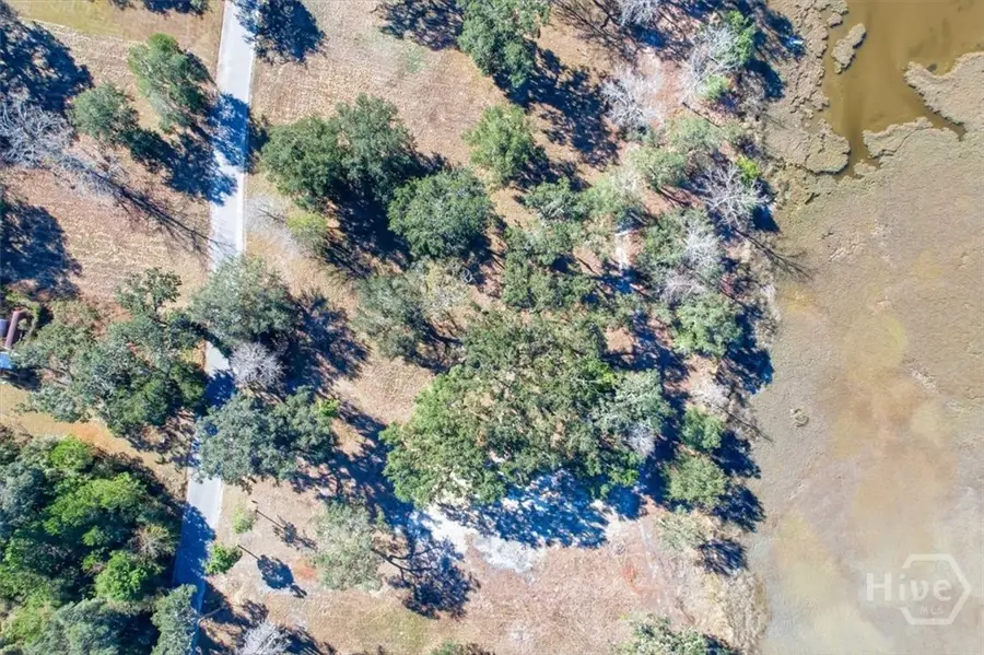 LOT 6 Bermuda Bluff Lane, Midway, GA 31320 - #3