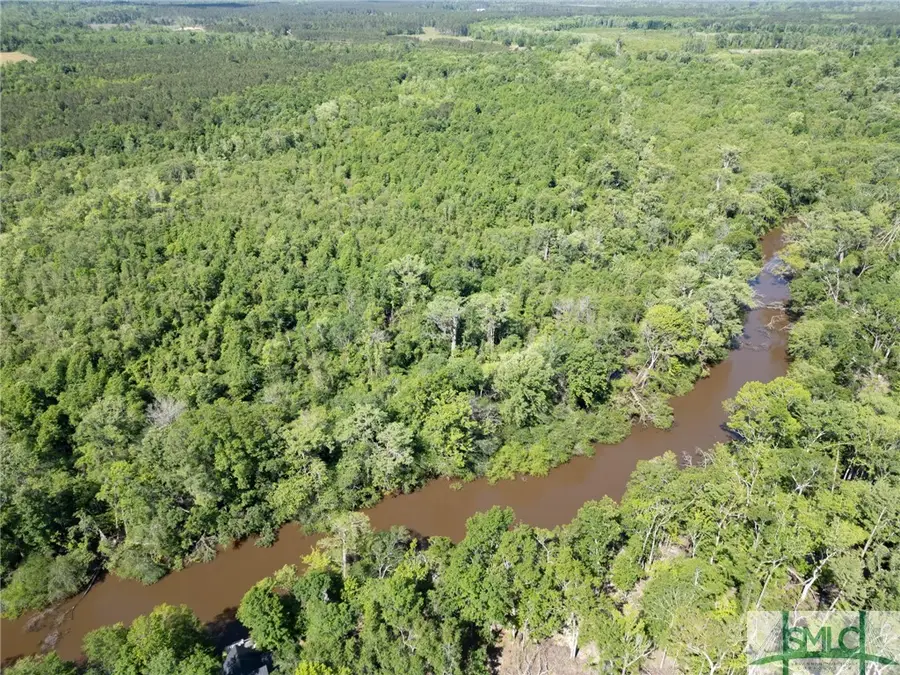 Lot 21 The River Landing Road, Midville, GA 30441 - Image #3