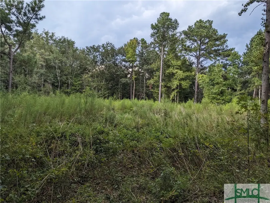 4515 Harper Road, Metter, GA 30439 - Image #3