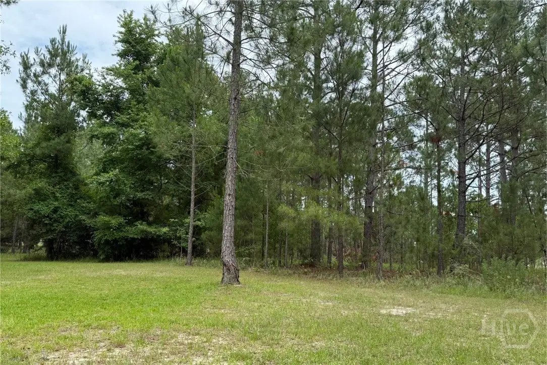 Lot 6 Centerbrook Road, Vidalia, GA 30474 - Image #1