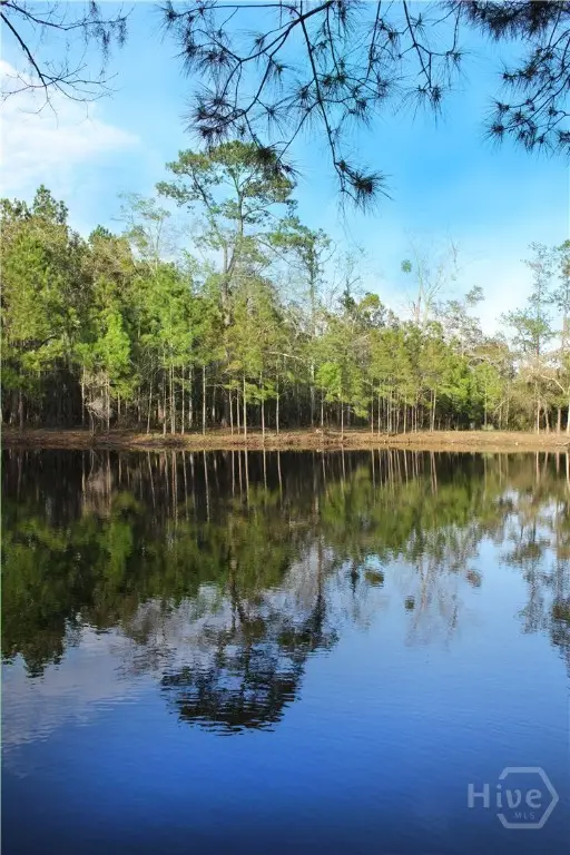 1 William's (36 Lots 95 Acres) Retreat, Savannah, GA 31419 - Image #2